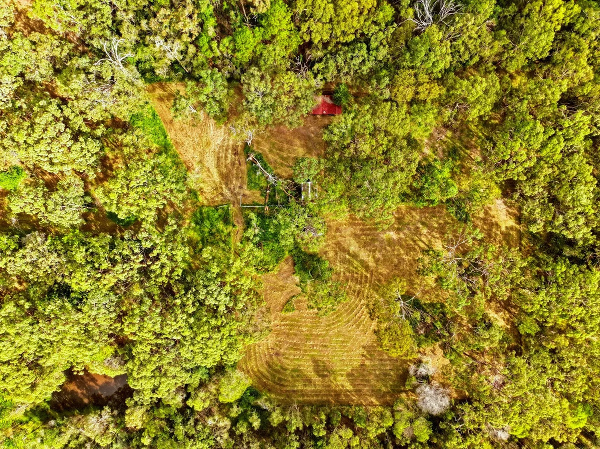 Image 36