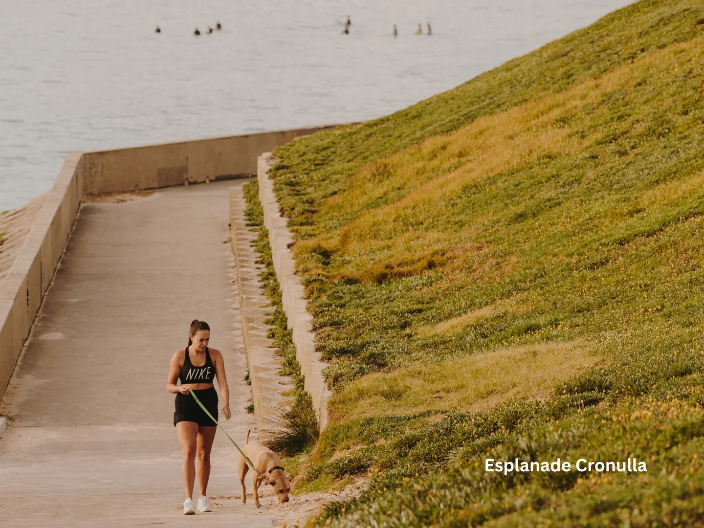 Additional image 19 of 41-51 President Avenue, Caringbah NSW 2229