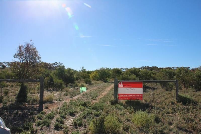 Section 502 Woolshed Road, Mannum SA 5238, Image 0
