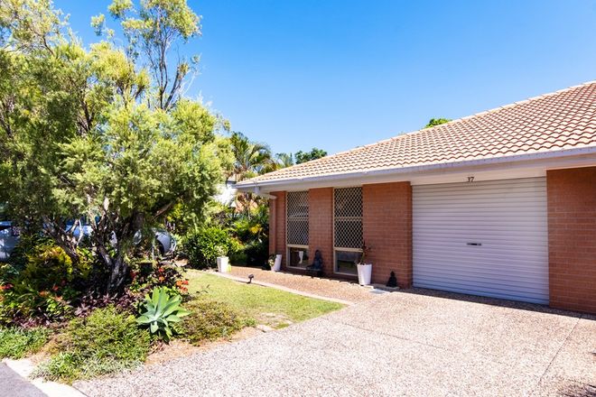 Picture of 37/54 Gemvale Road, REEDY CREEK QLD 4227