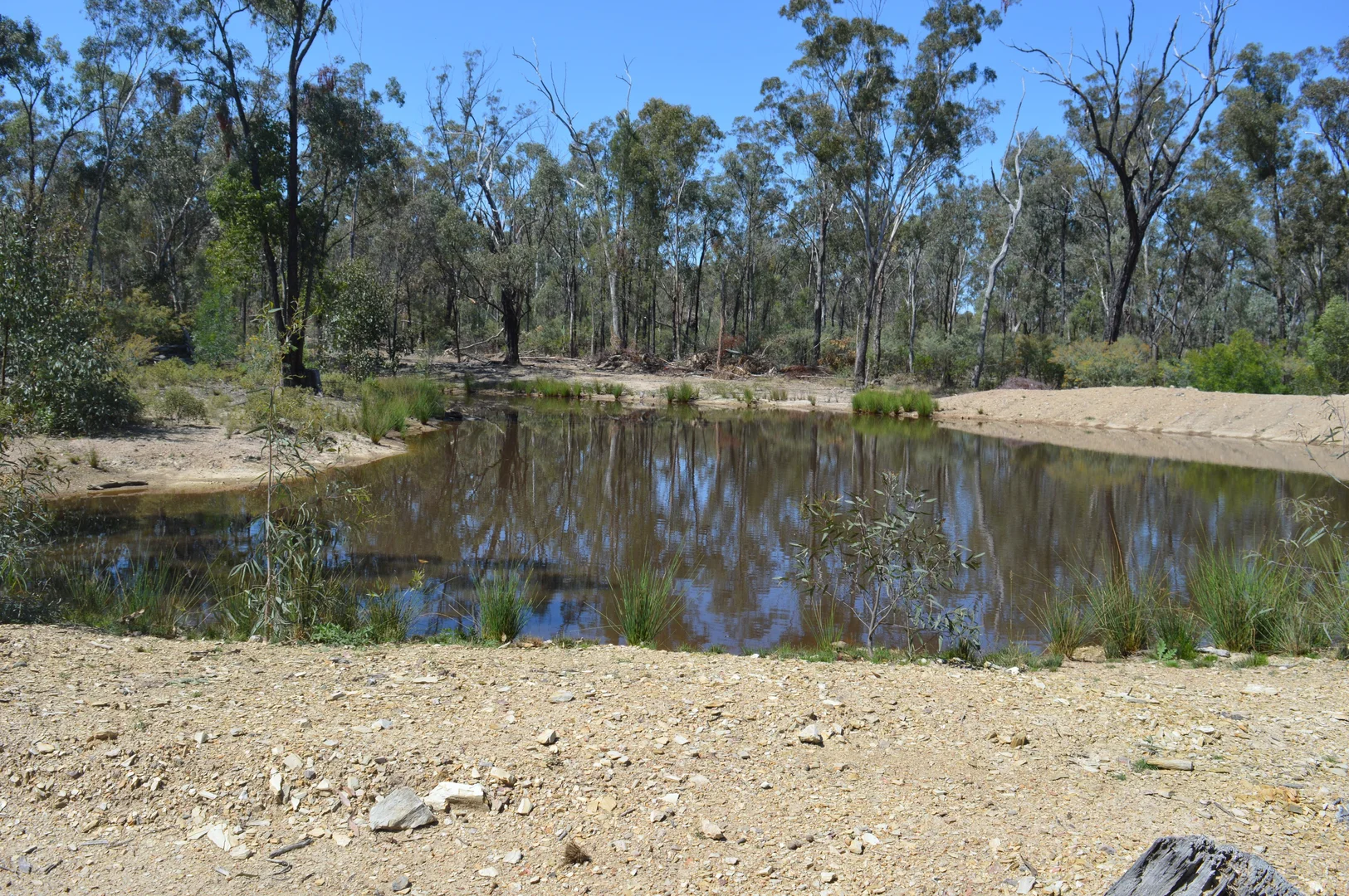 Image 16