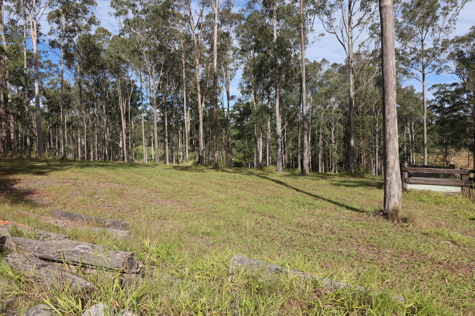 Image 21