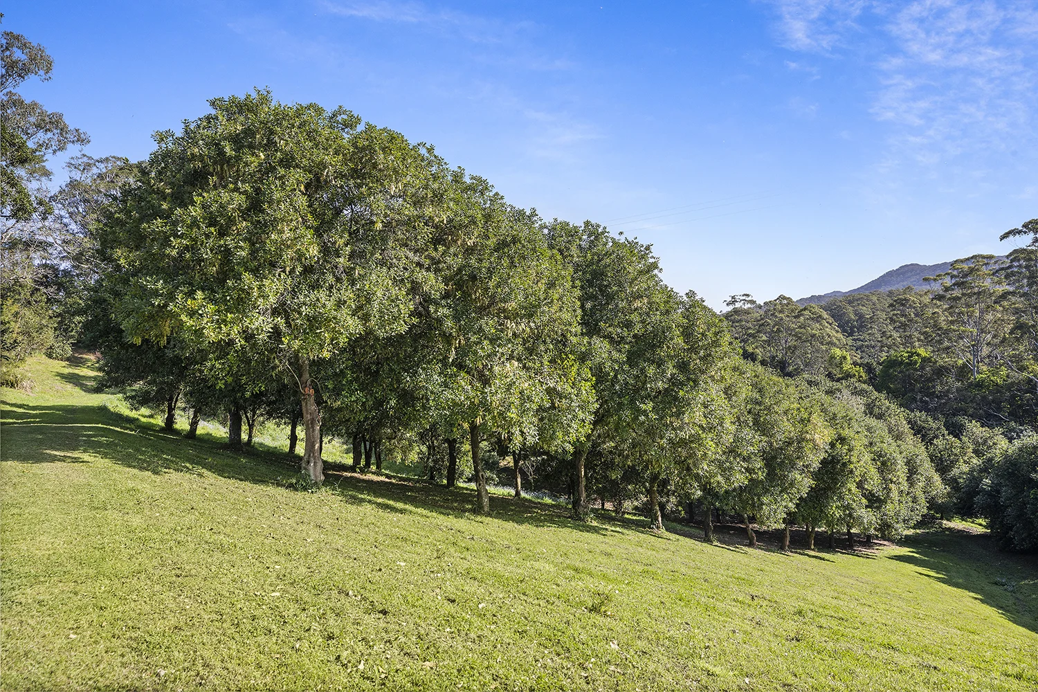 Additional image 5 of 65 Logans Road, Valla NSW 2448