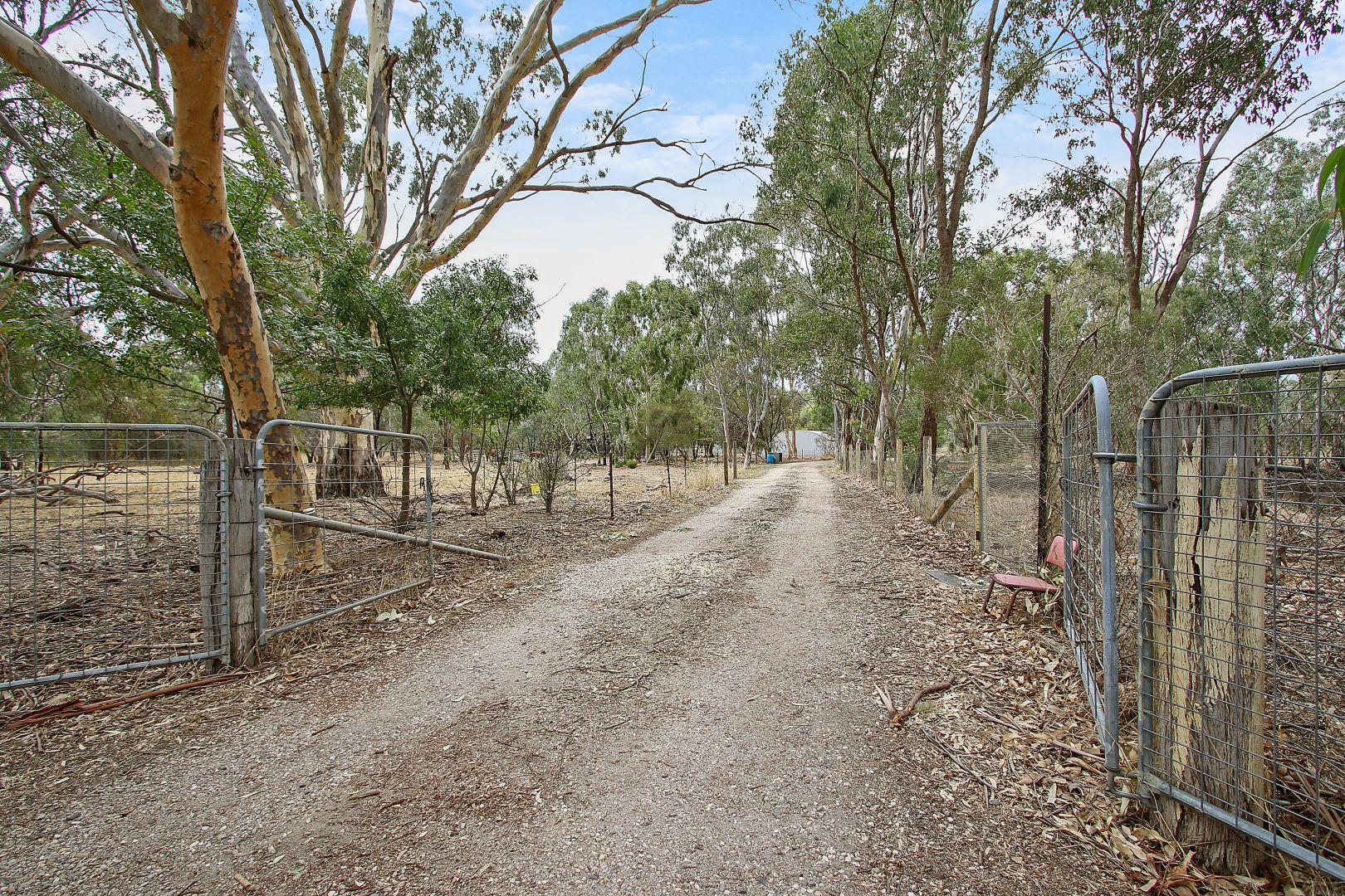 290 Kealy Road, Benalla VIC 3672, Image 1