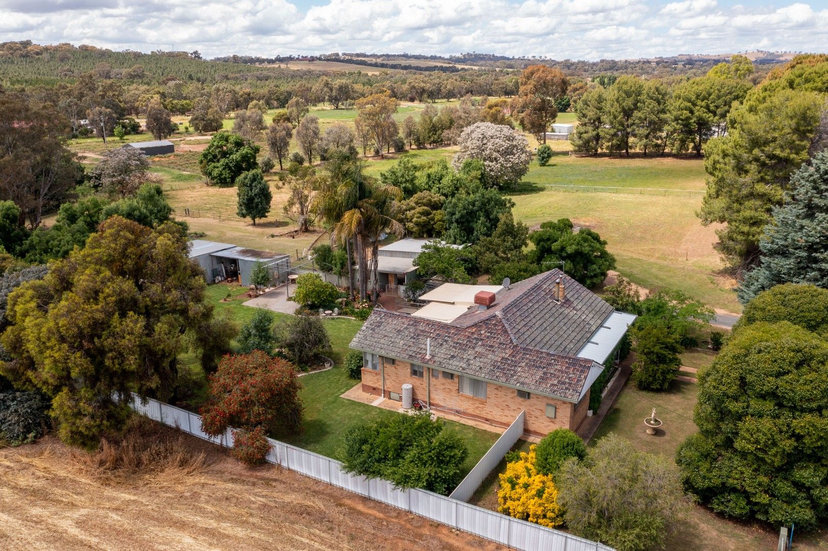 23 Eugene Avenue, San Isidore NSW 2650, Image 0