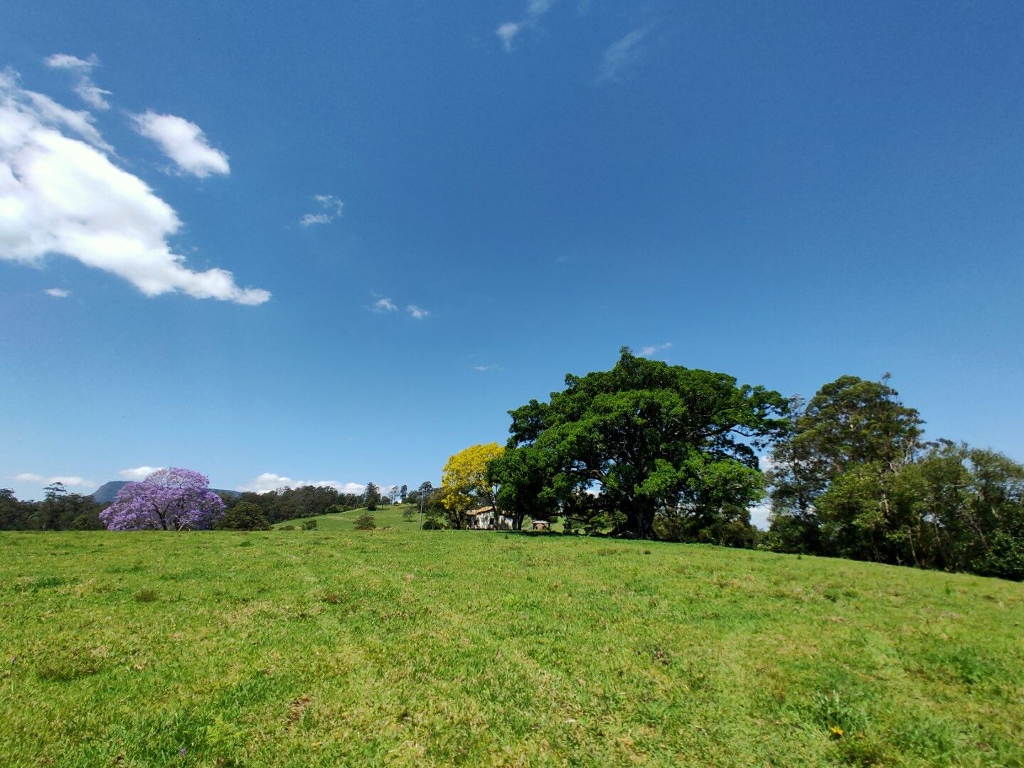 2 bedrooms Rural in 231 Old Tweed Road Wadeville KYOGLE NSW, 2474