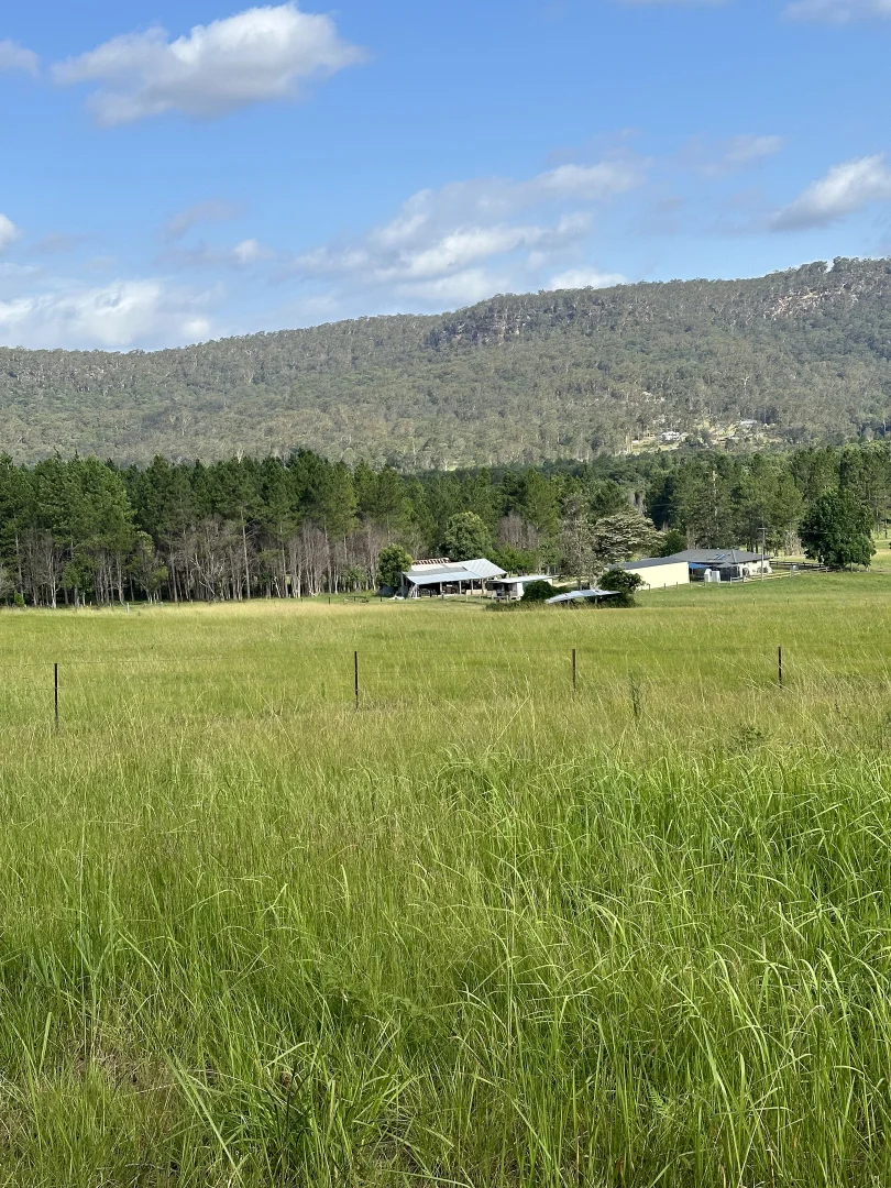 Image 18