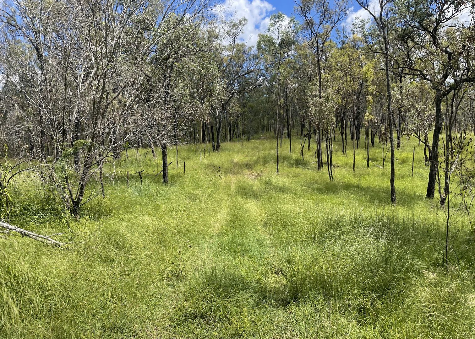 L52 Campbell Creek Road, Campbell Creek, Gayndah QLD 4625, Image 1