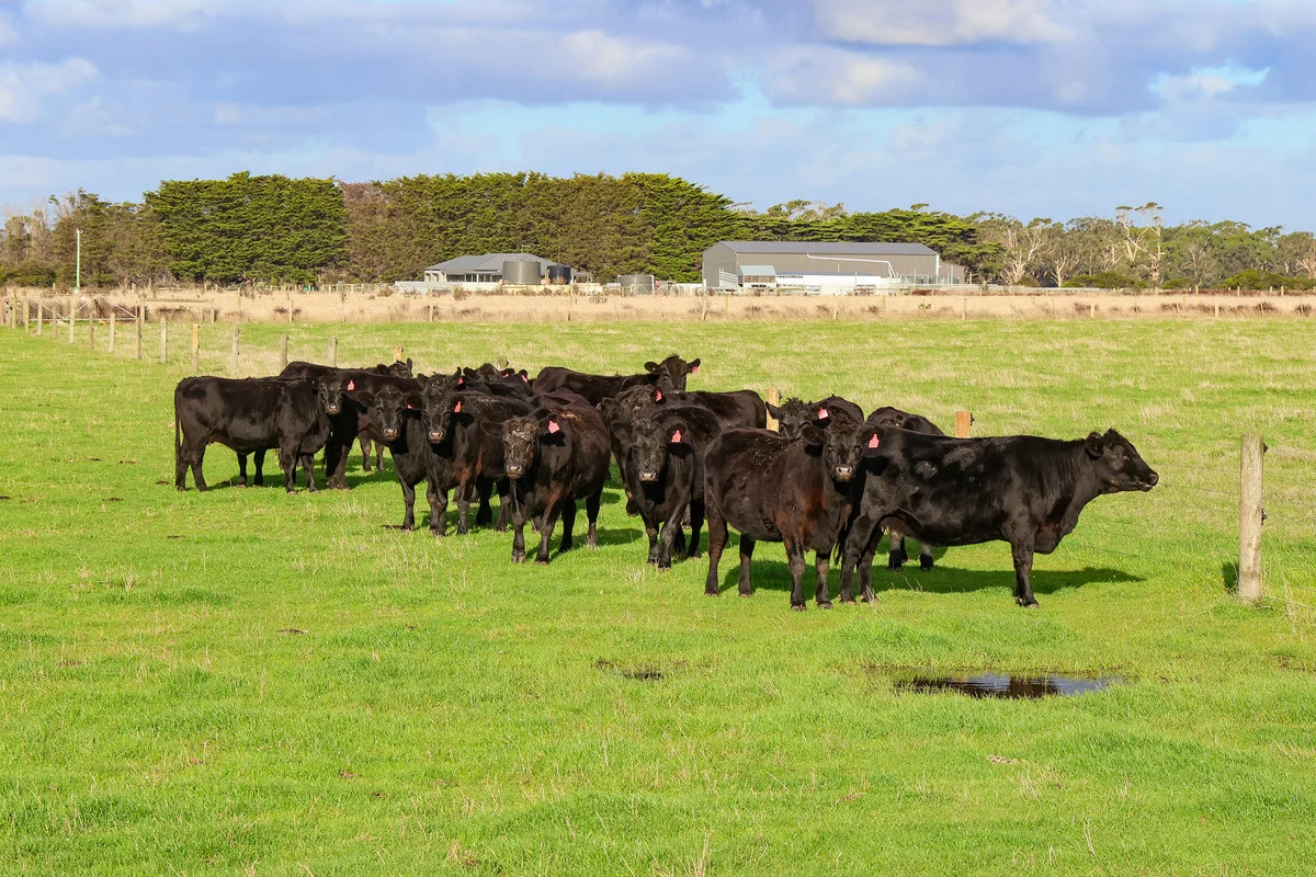 Additional image 29 of 59 Gapes Road, Winslow VIC 3281