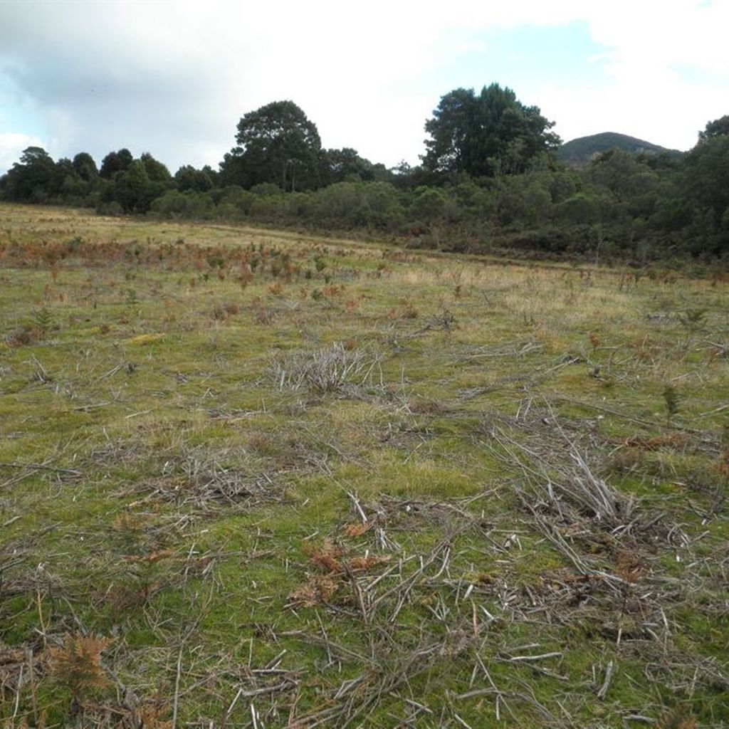 . Moore Street, Waratah TAS 7321 Vacant Land For Sale Domain