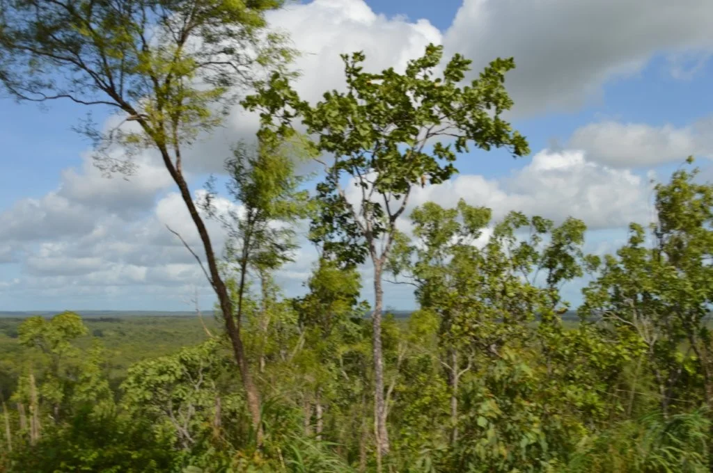 Image 9