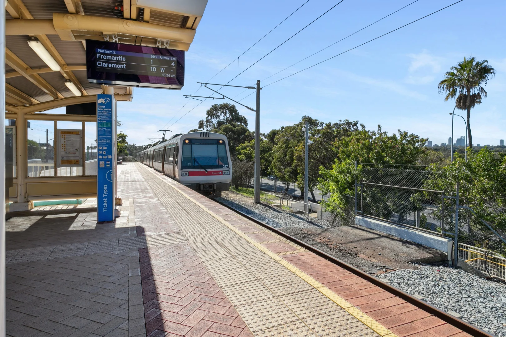Image 7