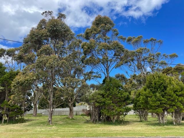 1 Kurrajong Street, Grassy TAS 7256, Image 0