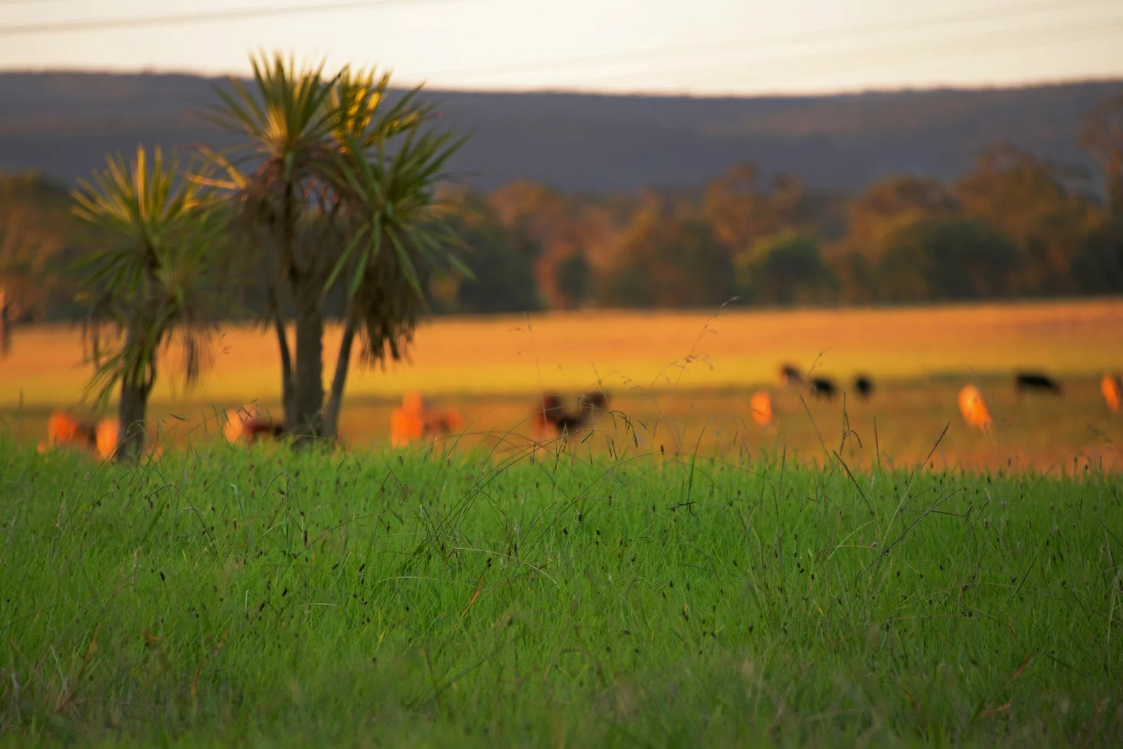 Additional image 16 of 89 Riverslea Boulevard, Traralgon VIC 3844