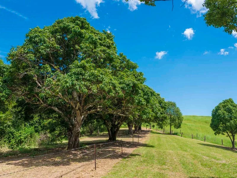 Additional image 6 of 21 Shipway Road, Nimbin NSW 2480