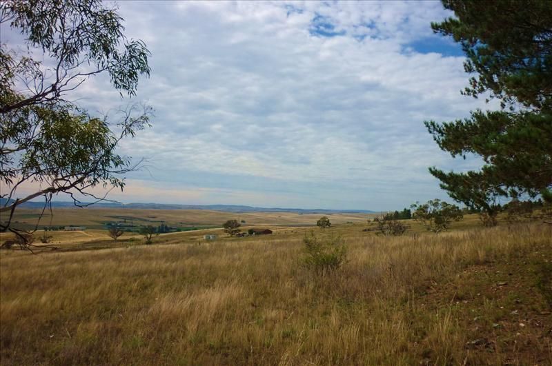 Lot 22 Binjura Road, Cooma NSW 2630, Image 2