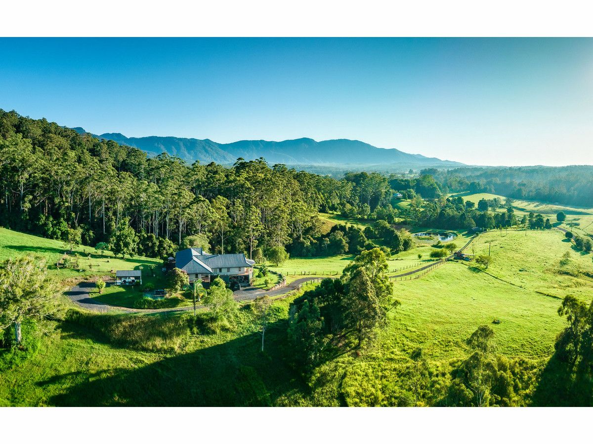 448 Gordonville Road, Bellingen NSW 2454, Image 0