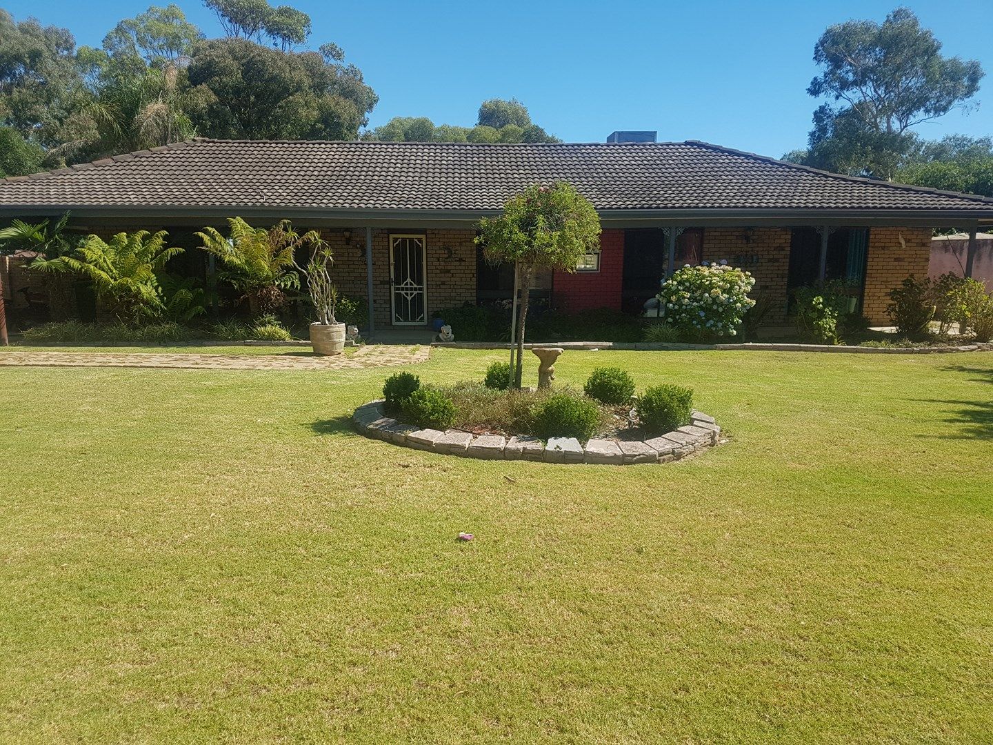 645 Dights Forest Road, Table Top NSW 2640, Image 0