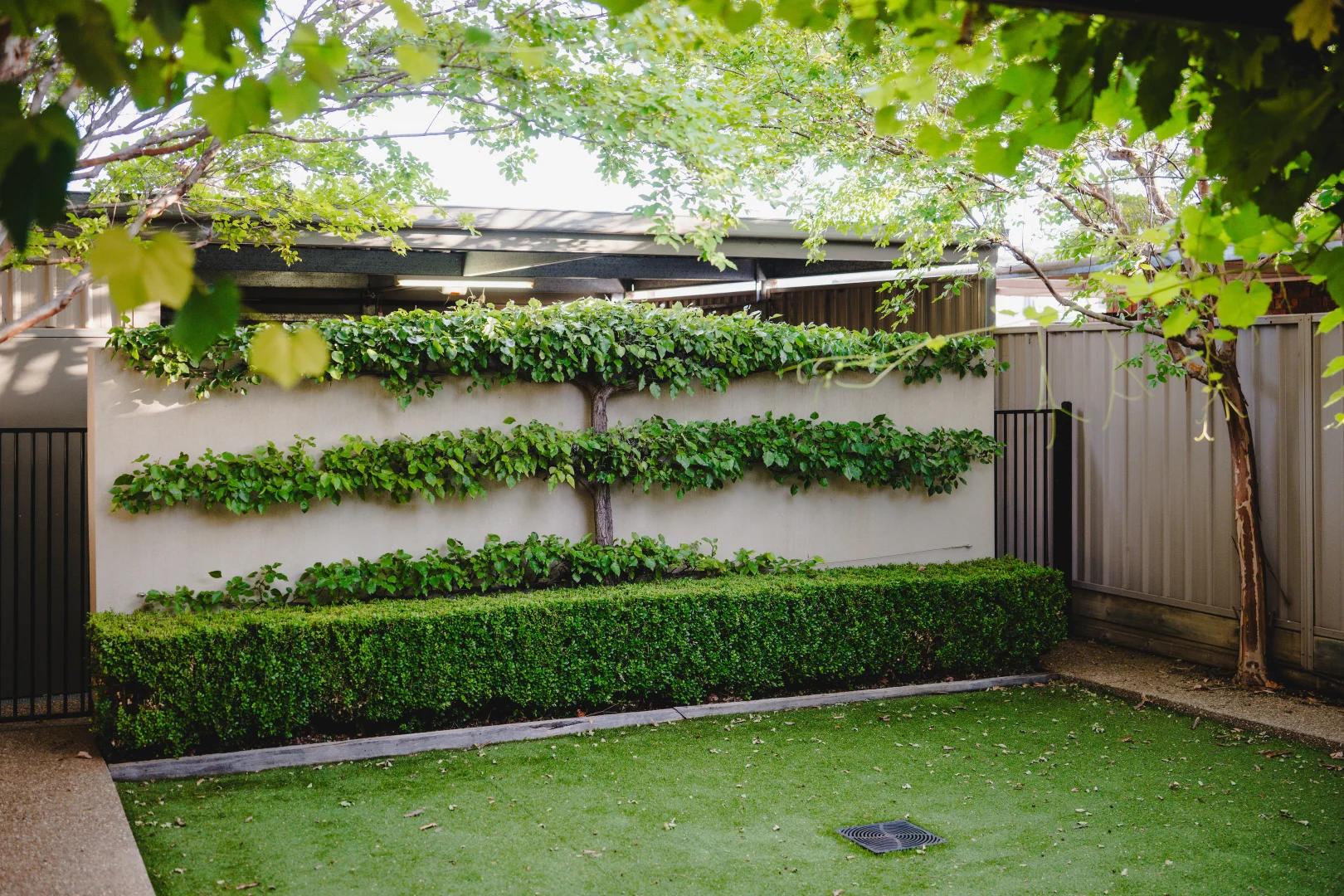Image 20