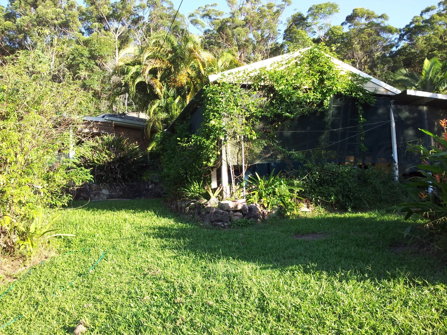 Image 20