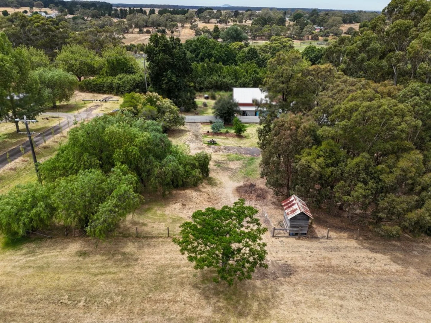 Image 13