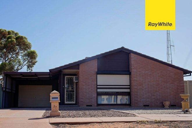 Picture of 37 Risby Avenue, WHYALLA JENKINS SA 5609