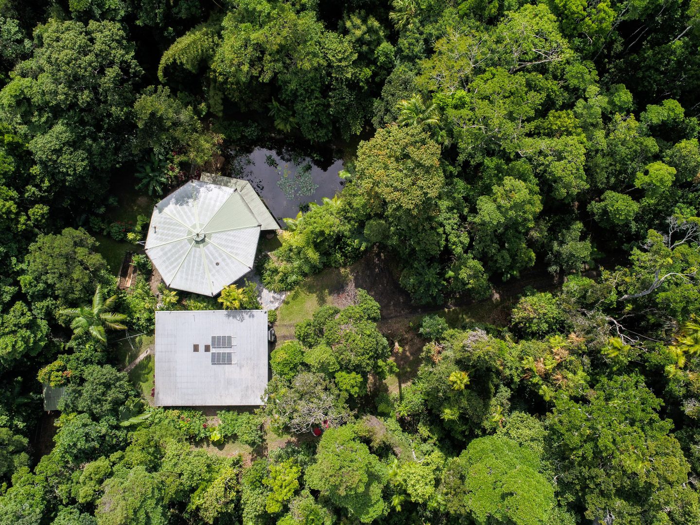 27 Black Mountain Road, Kuranda QLD 4881, Image 2