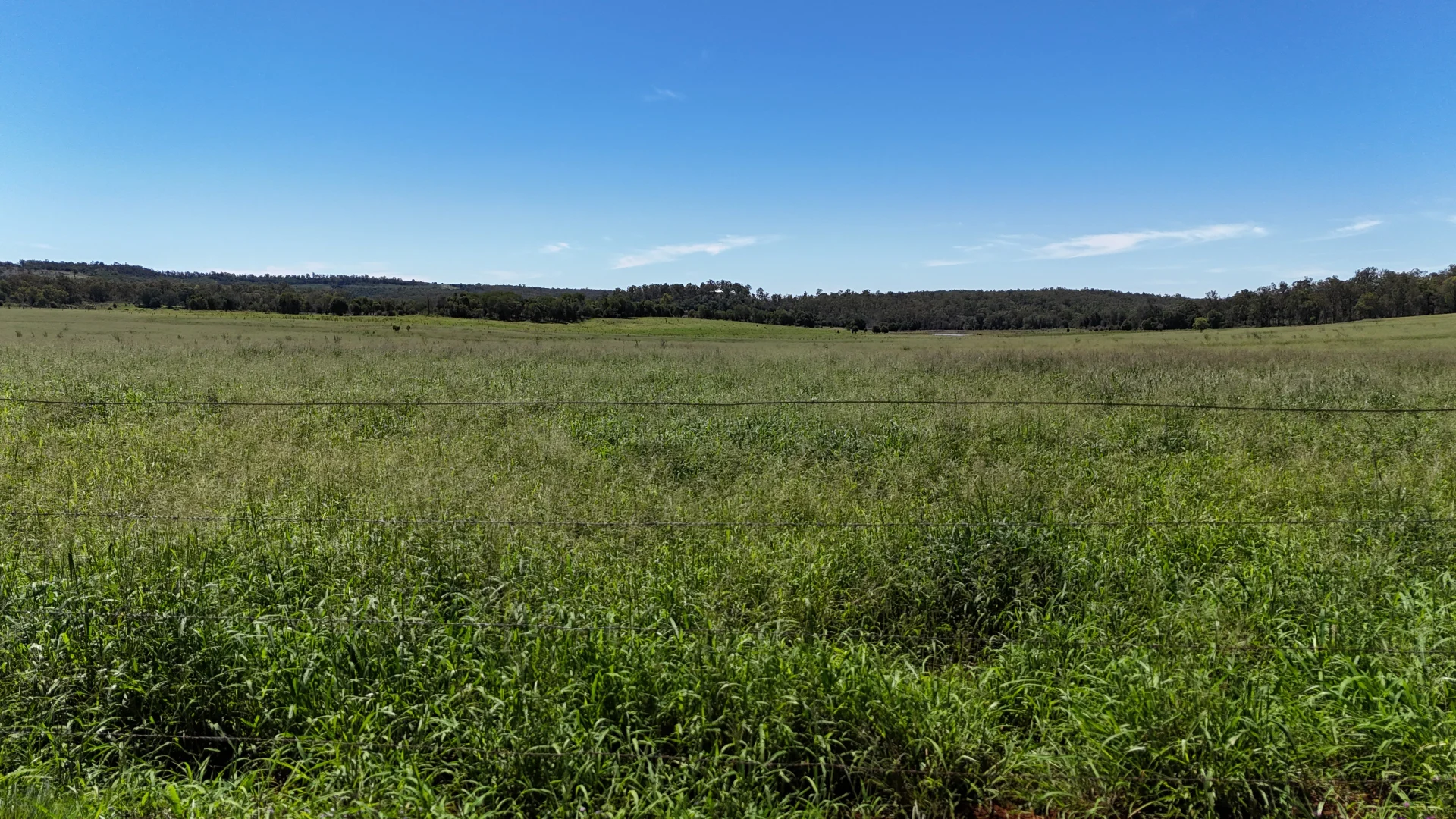 Additional image 6 of 42 Roberts Road, Speedwell, Proston QLD 4613