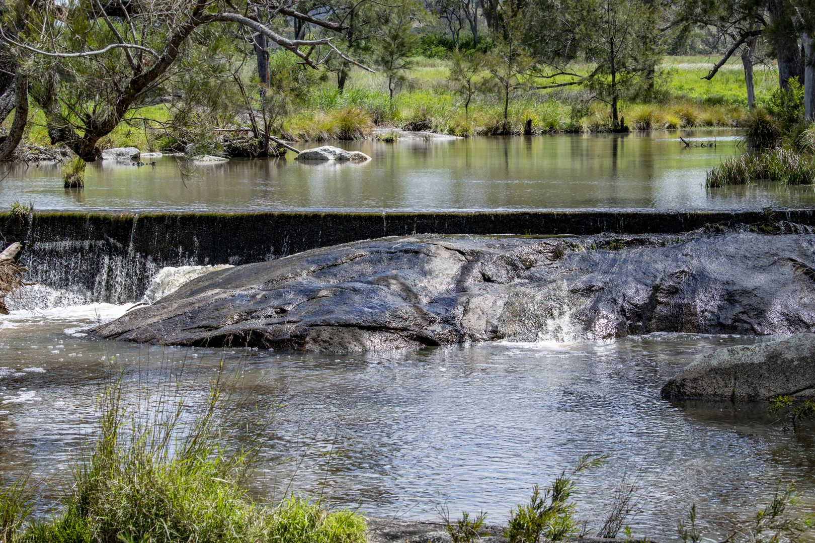 Lot 16 McMeniman Road, Ballandean QLD 4382, Image 1