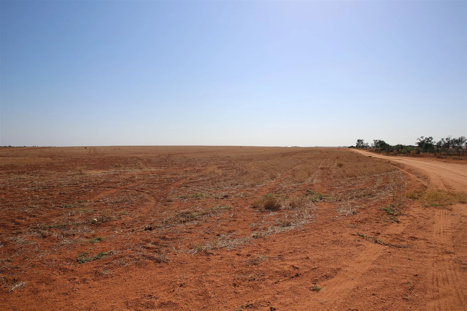 Image 12