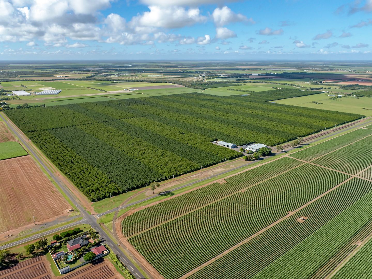 Calavos QLD 4670, Image 1