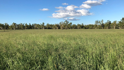 Picture of 412 ACRES PRIME RIVER GRAZING, DALBY QLD 4405