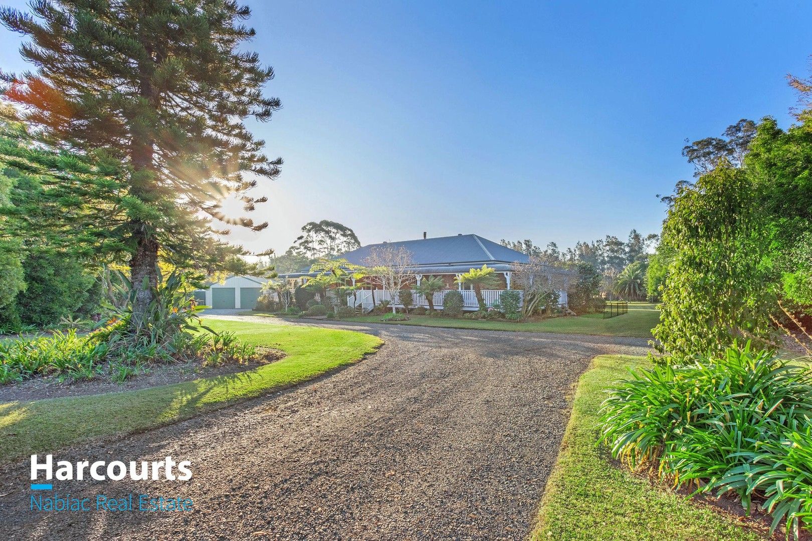 8 butea Close, Darawank NSW 2428, Image 0