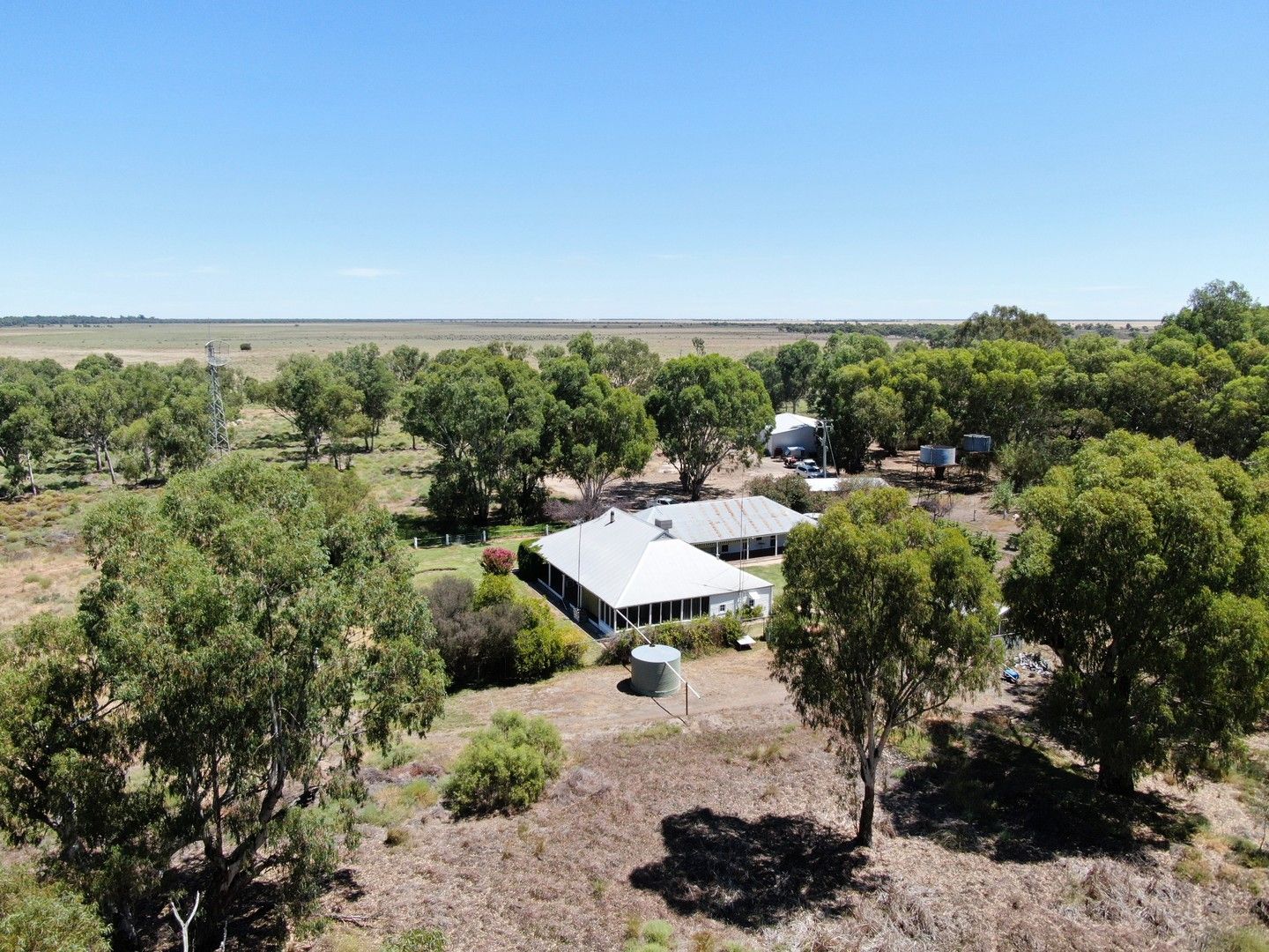 Merungle Road, Hillston NSW 2675, Image 0