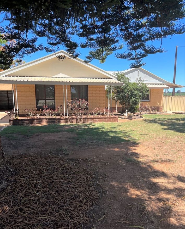 168 Alamein Avenue, Loxton North SA 5333 House For Rent Domain