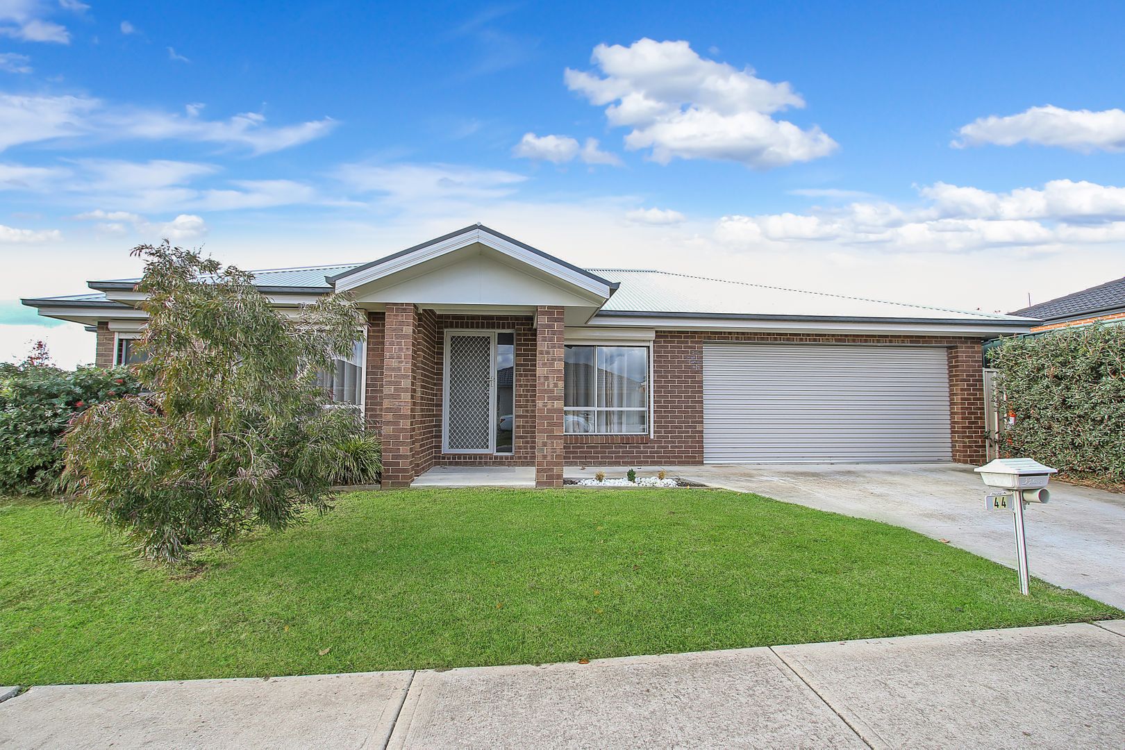 44 Castleton Street Wodonga Vic 3690 House For Rent 365 00 Domain