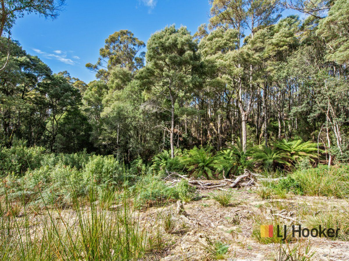 00 Deep Creek Road, Mount Hicks TAS 7325, Image 1