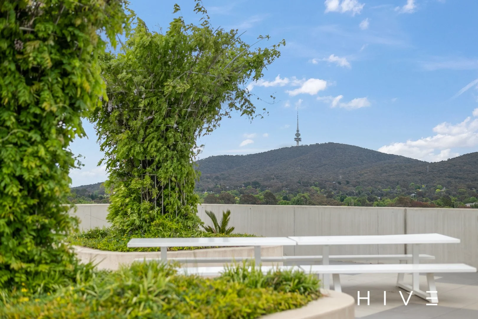 Additional image 28 of 125/56 Forbes Street, Turner ACT 2612