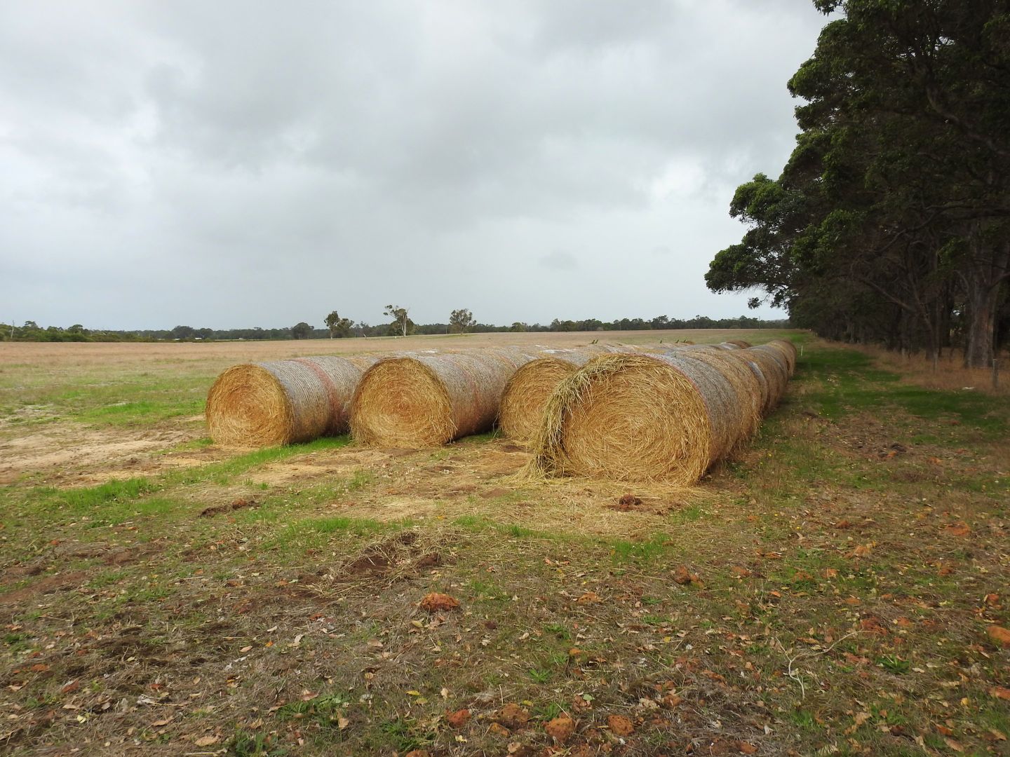 Lot 10 Patmore Road, Warner Glen WA 6288, Image 1