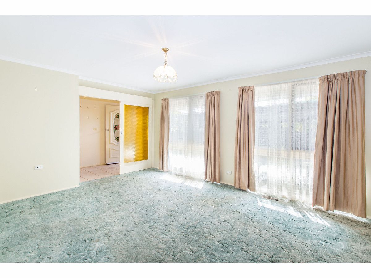 329 Haines Court, Lavington NSW 2641, Image 1