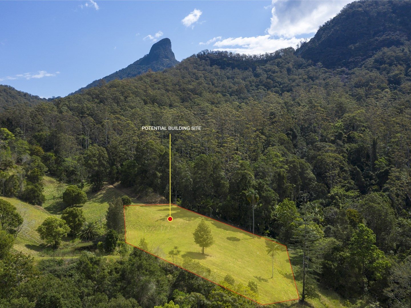 501 Mount Warning Road, Mount Warning NSW 2484, Image 0