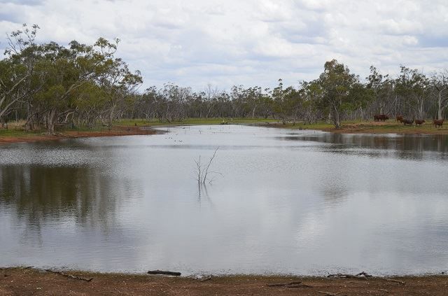 * Cooneybar Station, Cobar NSW 2835, Image 0