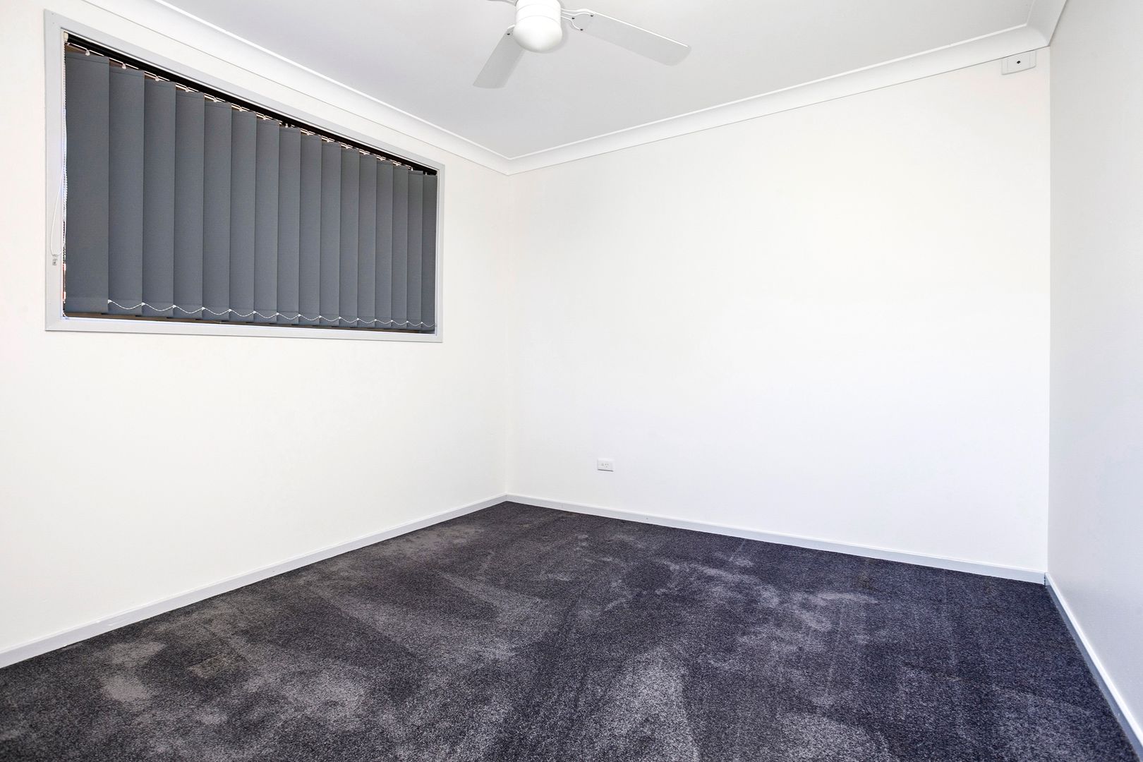 3/38 Bateman Avenue, Albion Park Rail NSW 2527, Image 2