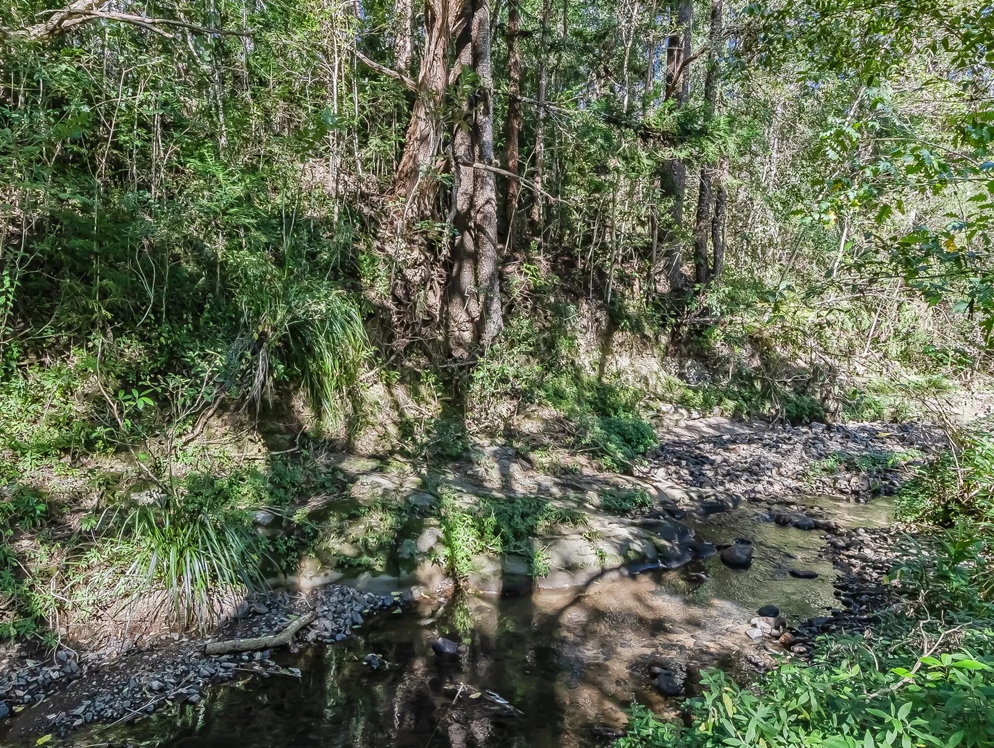 Image 45