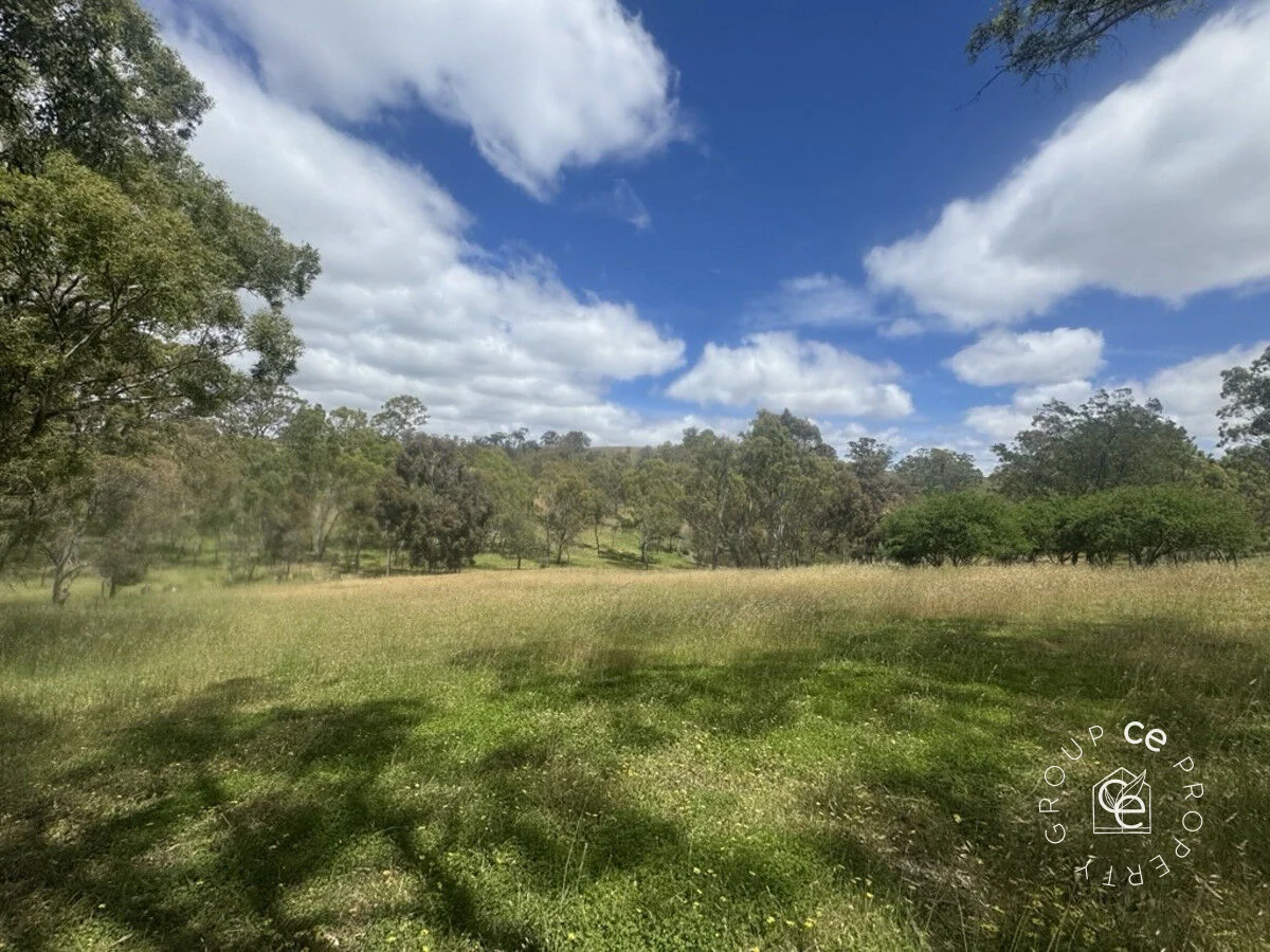 Image 37