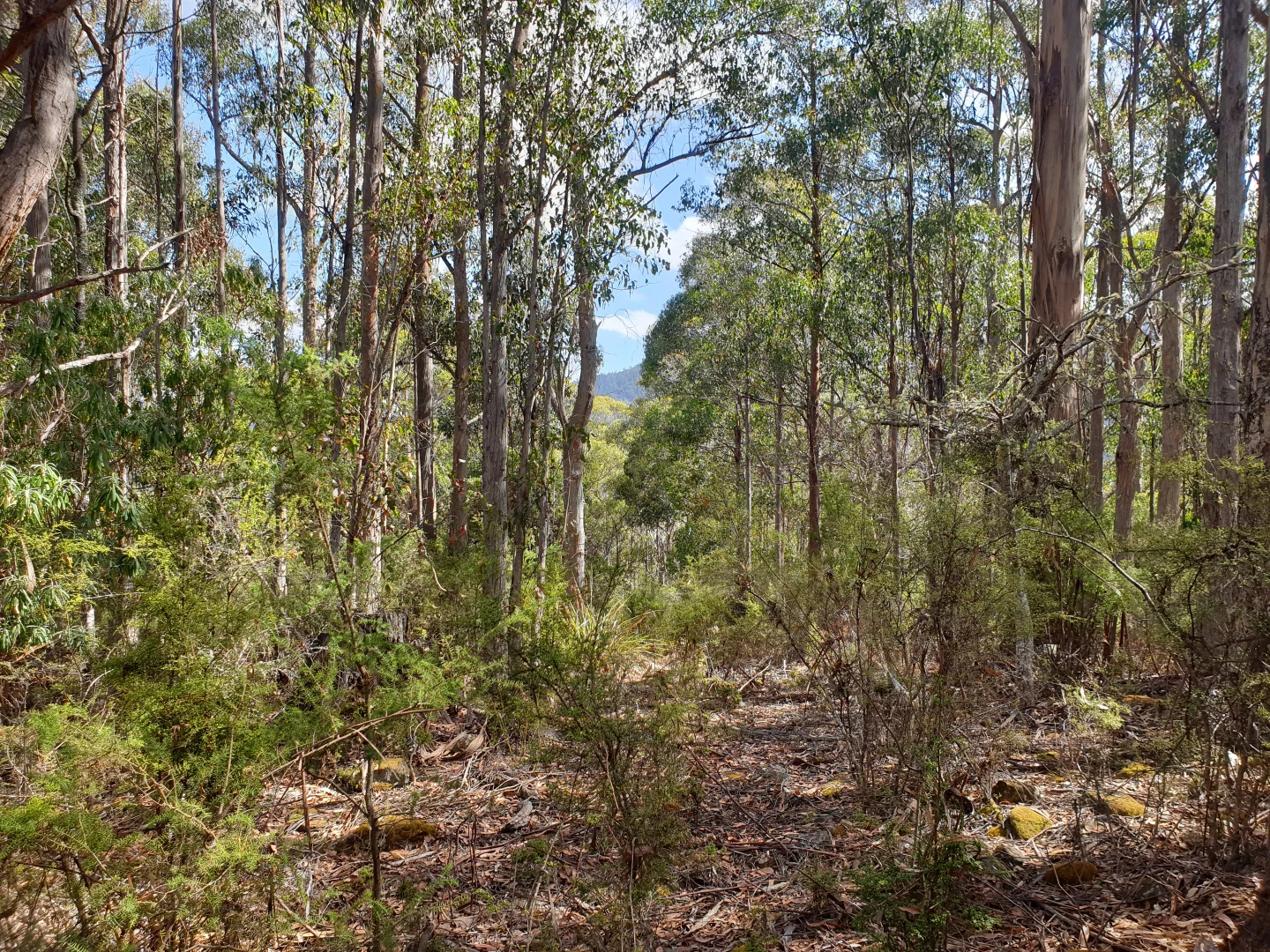 Image 9