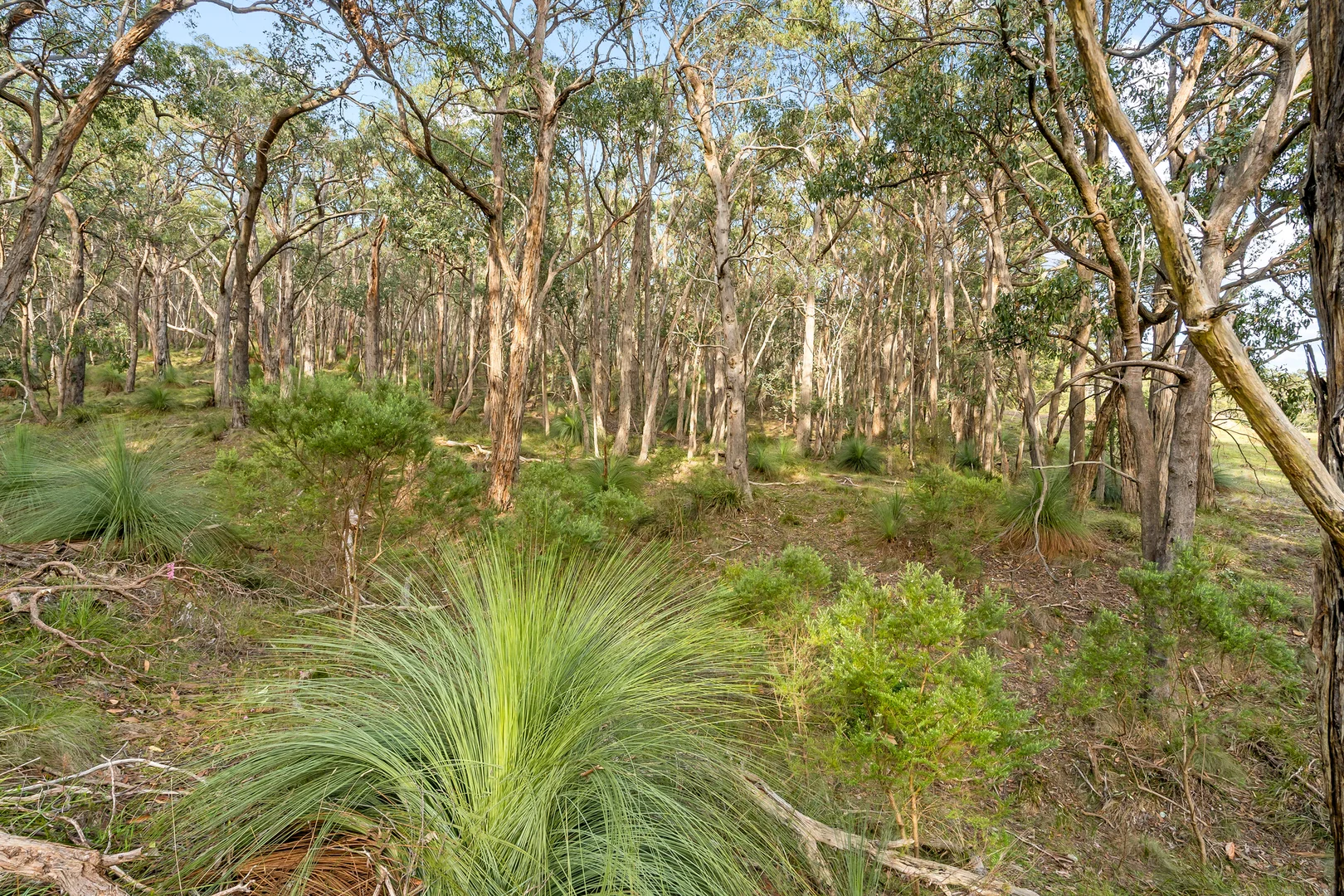 Image 33