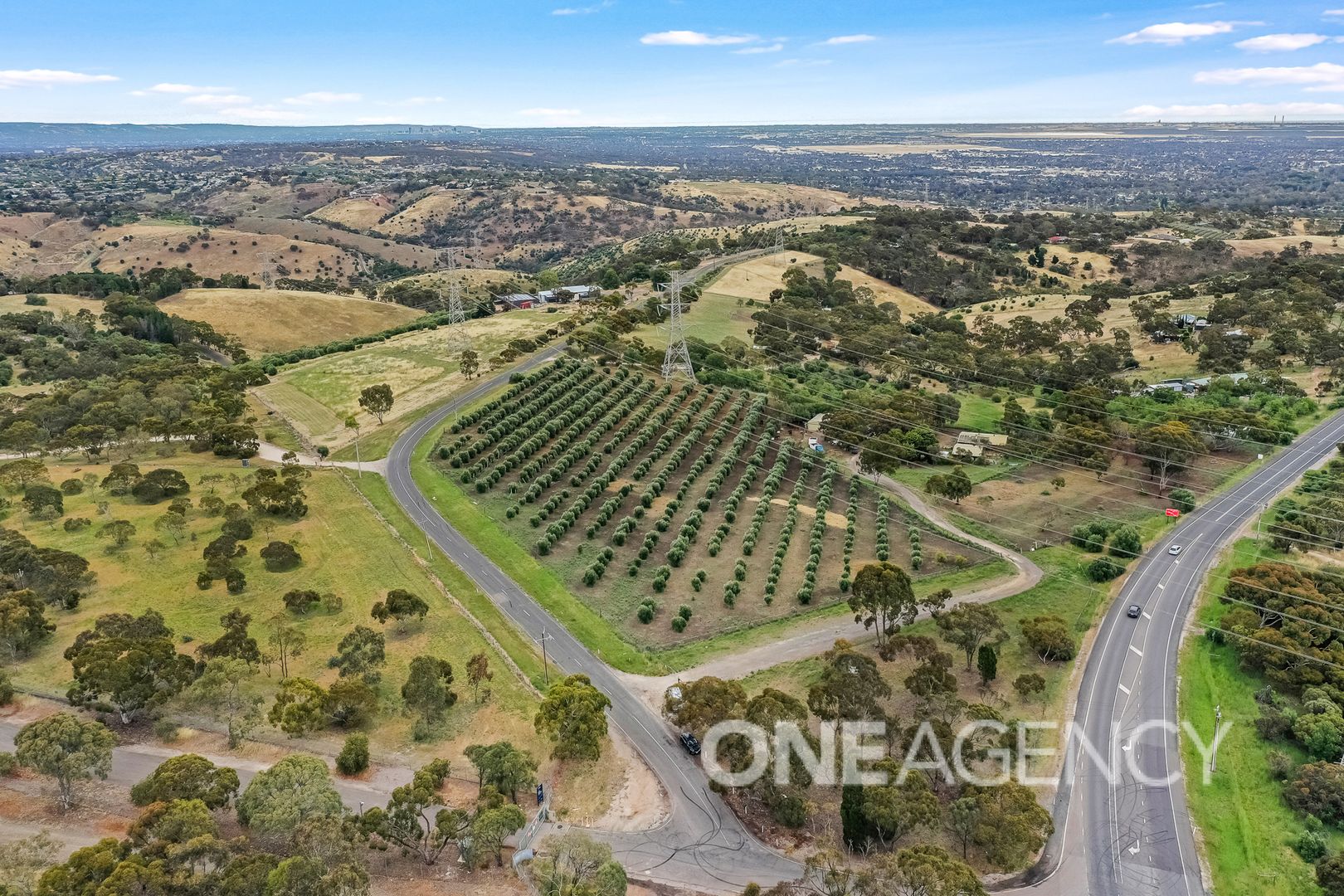 293 Williams Road, Gould Creek SA 5114, Image 2