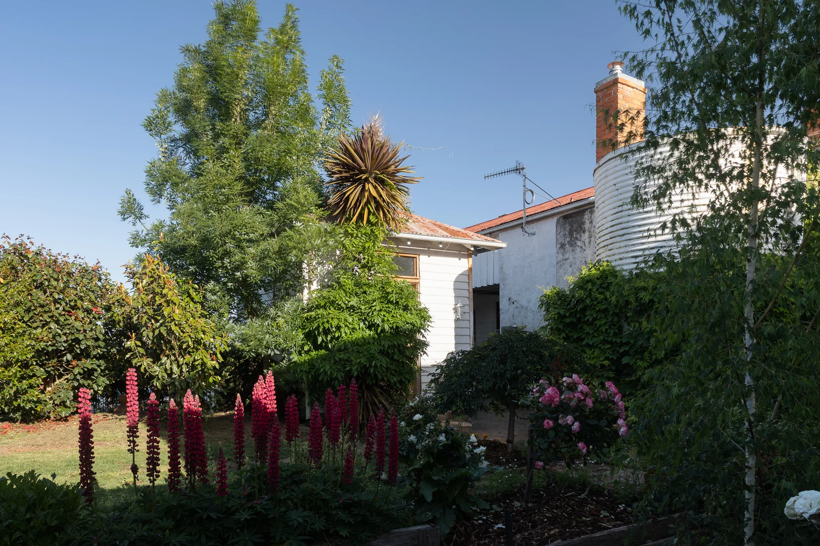 Additional image 29 of 1599 Whanregarwen Road, Molesworth VIC 3718