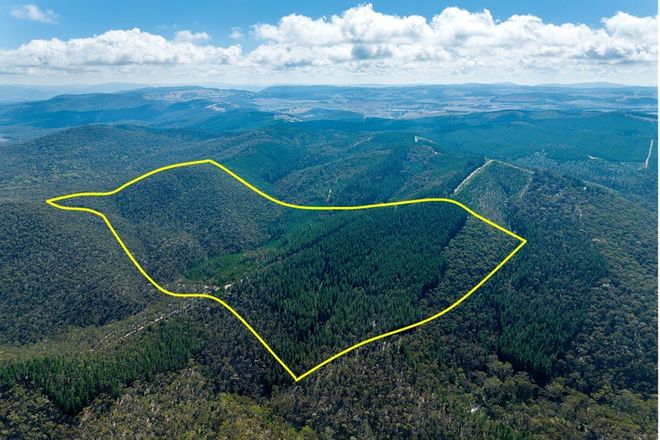 Picture of 771 Greywacke Road, TWENTY FORESTS NSW 2795